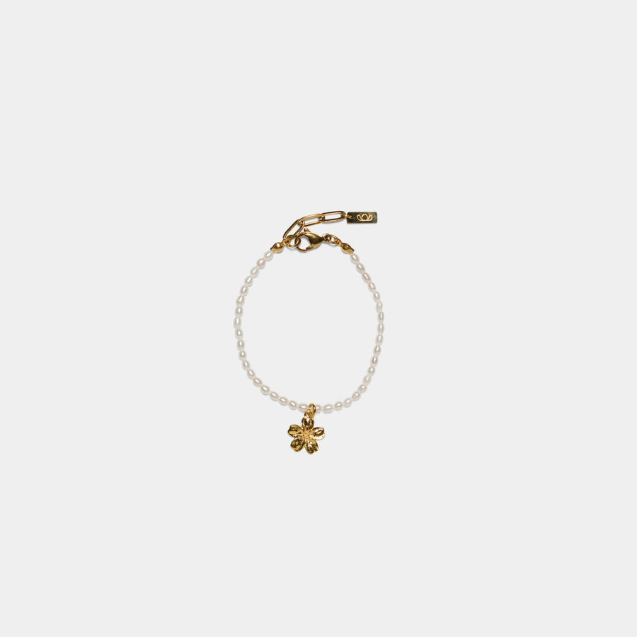 Dalia Tiny Rice Anklet