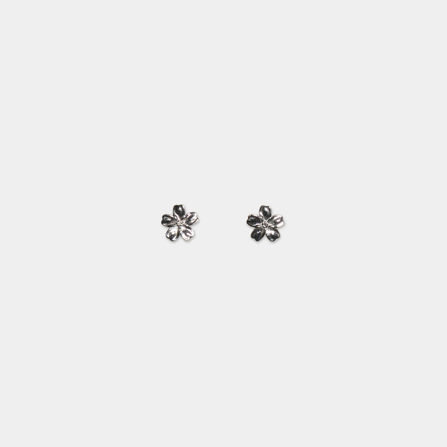 Dalia Studs