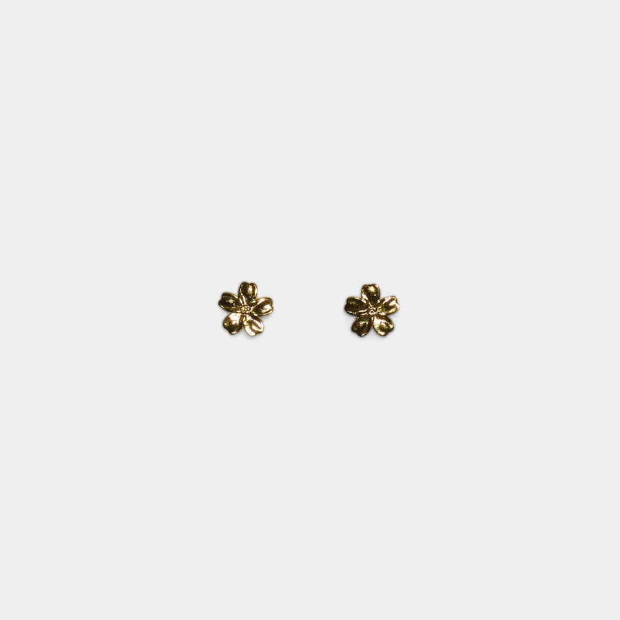 Dalia Studs