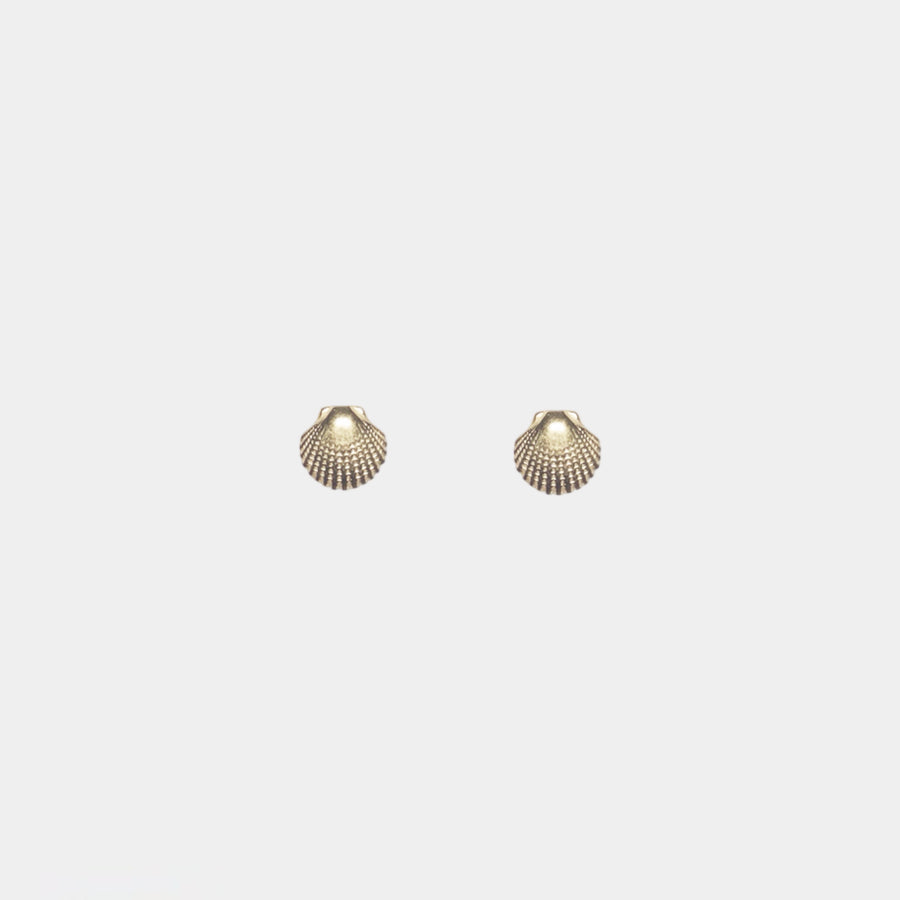 Shell Studs